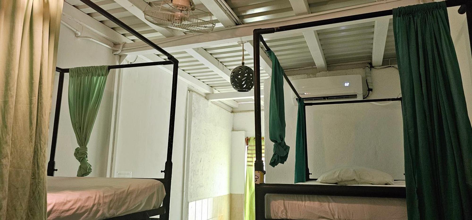 Bed in 4-Bed Mixed Dormitory Room